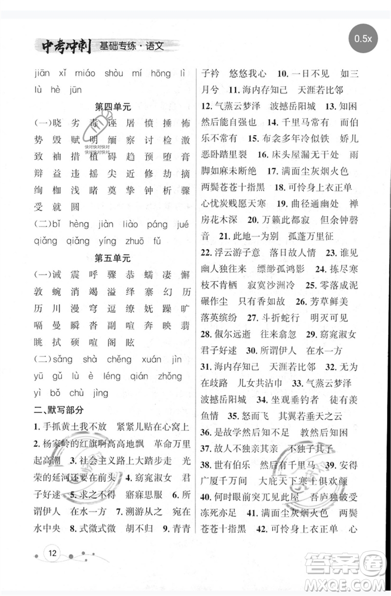 遼寧大學(xué)出版社2023年大連中考沖刺基礎(chǔ)專練九年級語文通用版參考答案