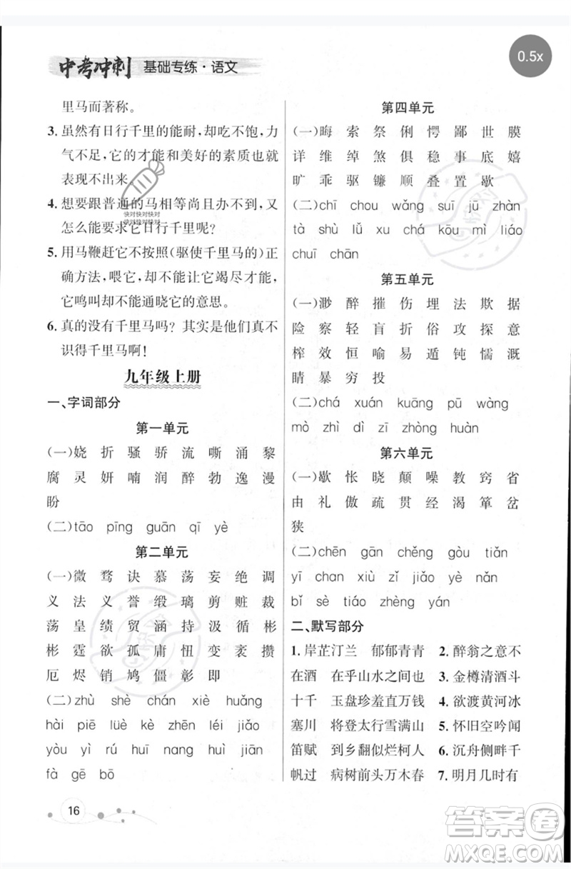 遼寧大學(xué)出版社2023年大連中考沖刺基礎(chǔ)專練九年級語文通用版參考答案