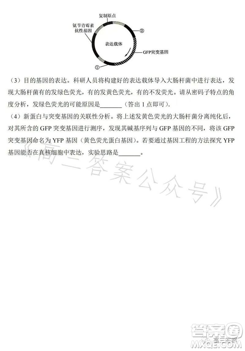 2023年高考全國(guó)乙卷理科綜合生物試題答案