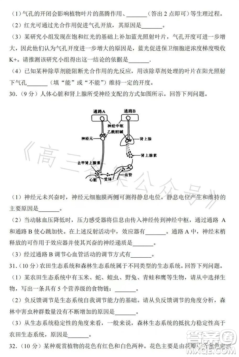 2023年高考全國(guó)乙卷理科綜合生物試題答案