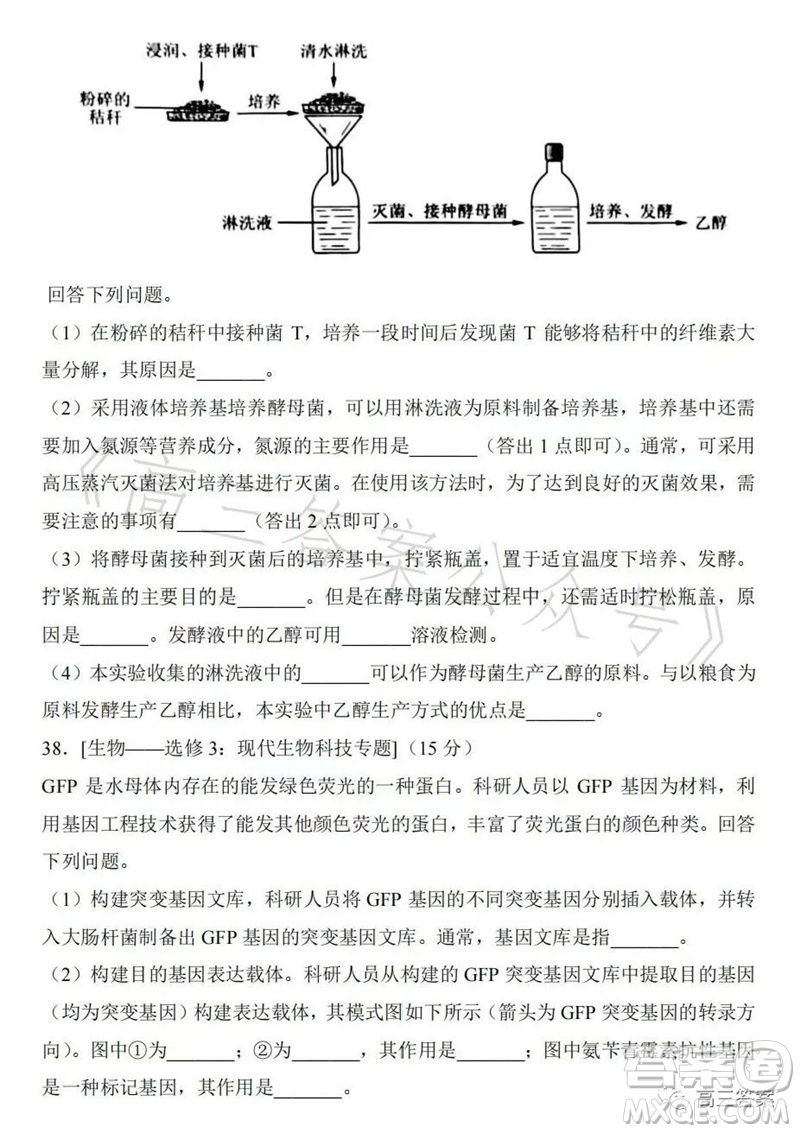 2023年高考全國(guó)乙卷理科綜合生物試題答案