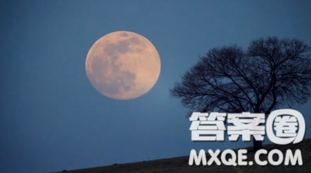 ____真的_____為題作文600字 關于____真的_____為題的作文600字