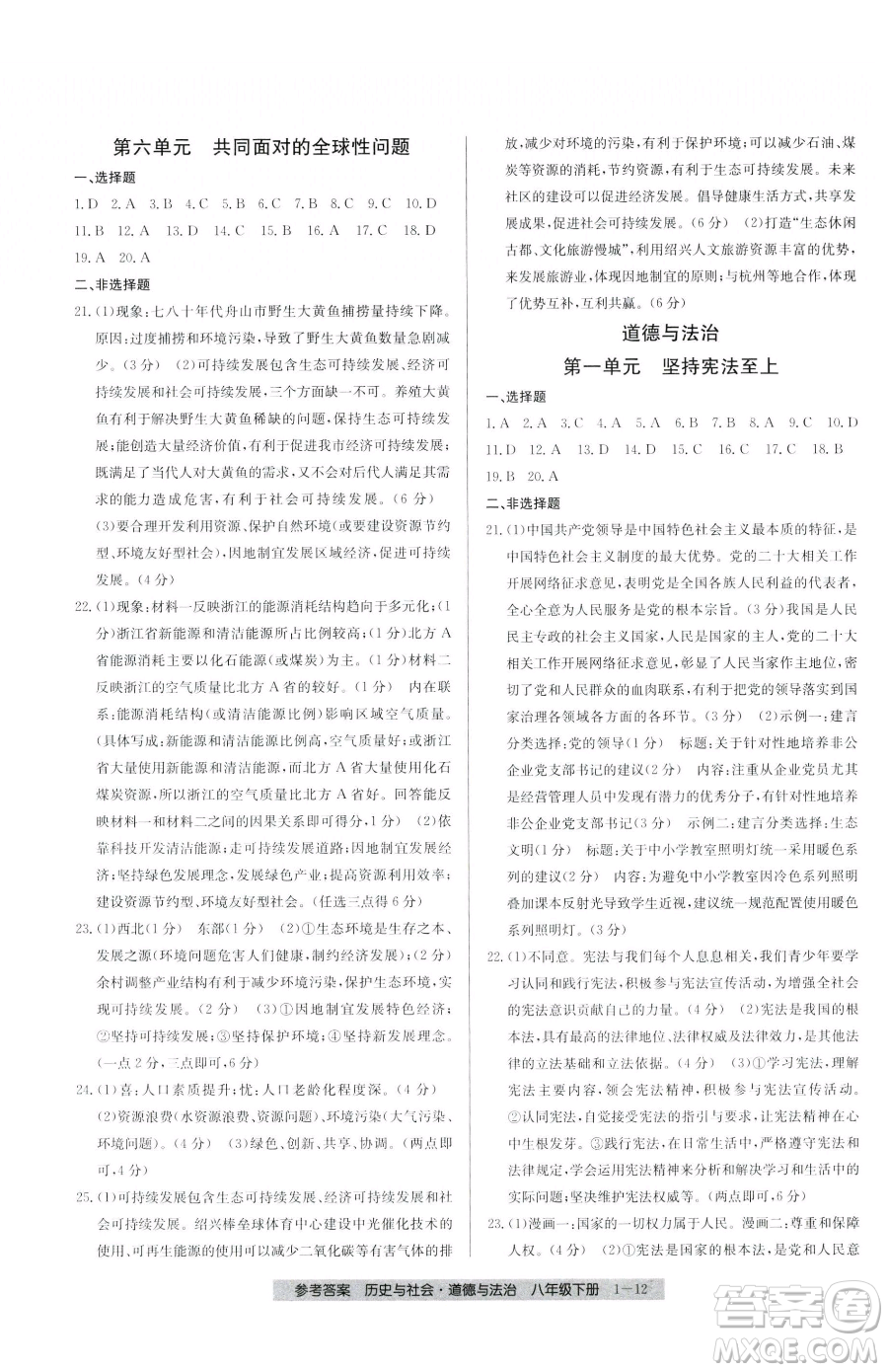 寧波出版社2023期末直通車八年級(jí)下冊道德與法治人教版參考答案
