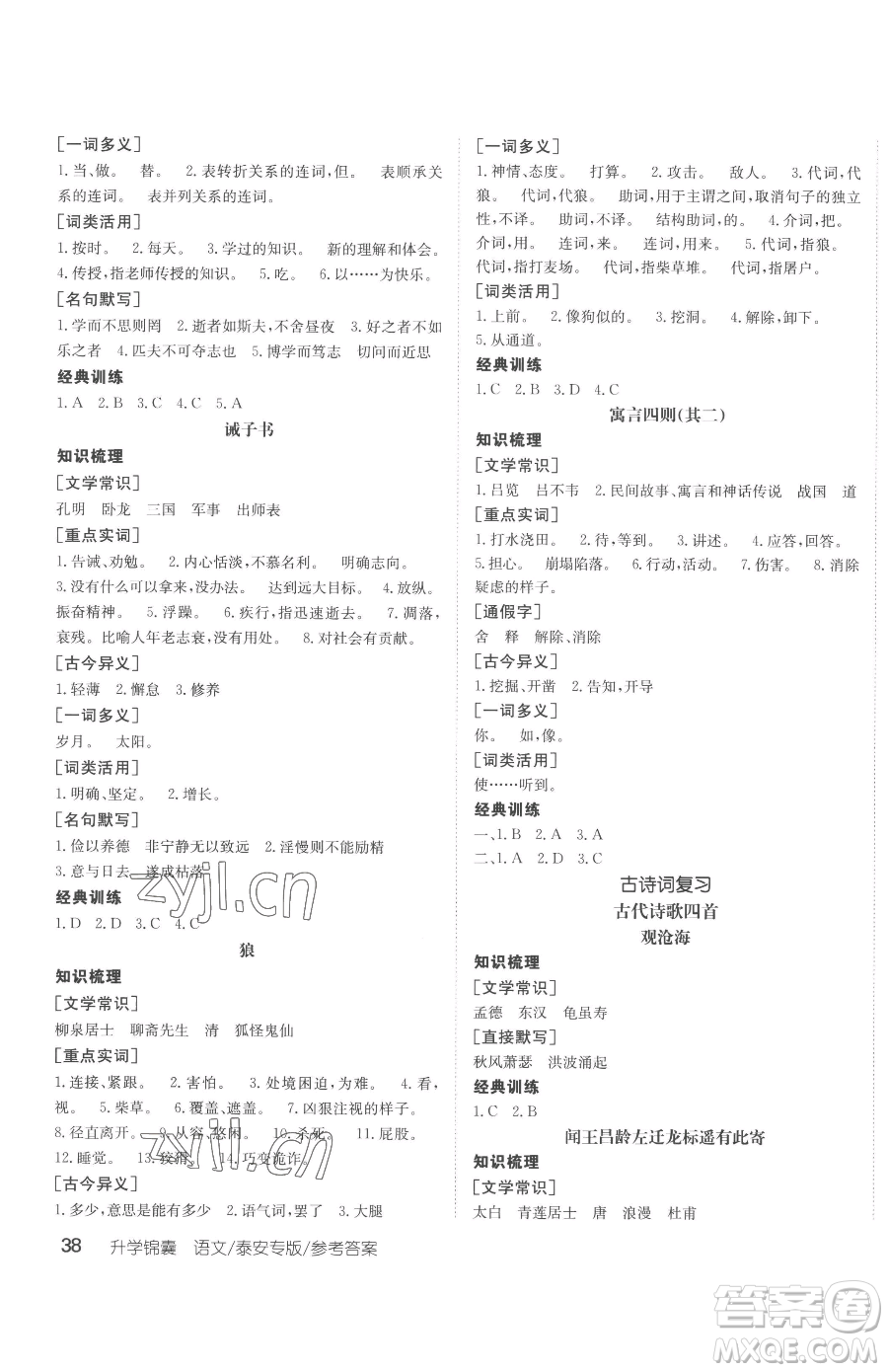 新疆青少年出版社2023升學(xué)錦囊九年級(jí)全一冊(cè)語(yǔ)文泰安專版參考答案