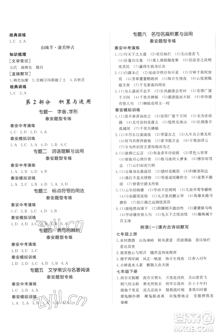 新疆青少年出版社2023升學(xué)錦囊九年級(jí)全一冊(cè)語(yǔ)文泰安專版參考答案