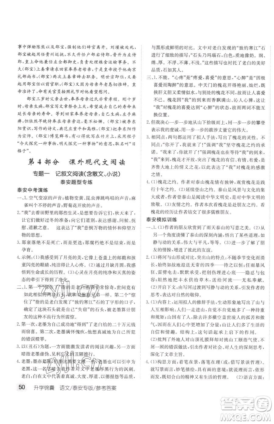 新疆青少年出版社2023升學(xué)錦囊九年級(jí)全一冊(cè)語(yǔ)文泰安專版參考答案