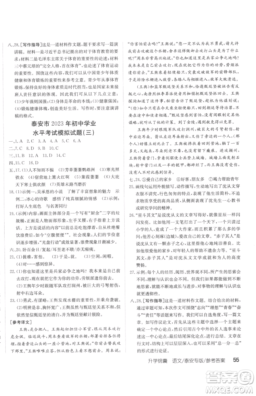 新疆青少年出版社2023升學(xué)錦囊九年級(jí)全一冊(cè)語(yǔ)文泰安專版參考答案