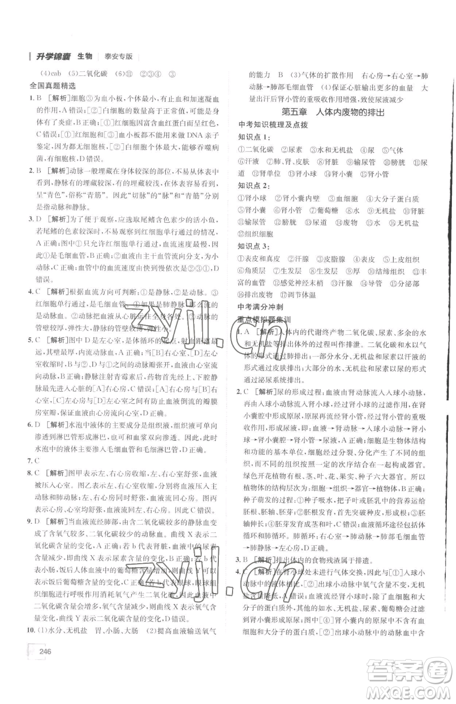新疆青少年出版社2023升學(xué)錦囊九年級(jí)全一冊(cè)生物泰安專(zhuān)版參考答案