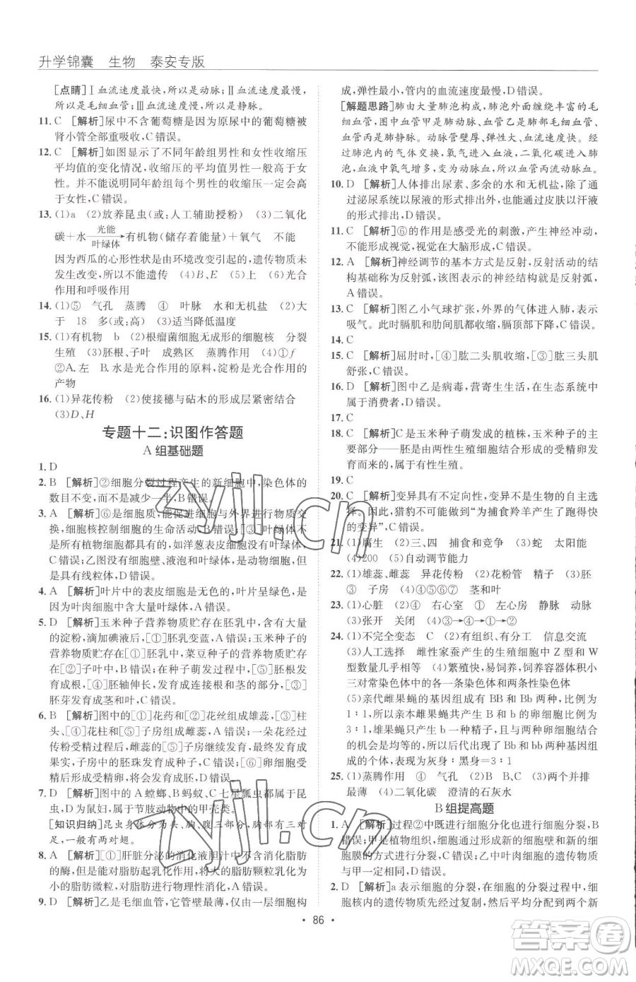 新疆青少年出版社2023升學(xué)錦囊九年級(jí)全一冊(cè)生物泰安專(zhuān)版參考答案