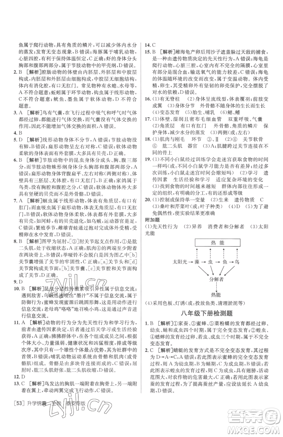 新疆青少年出版社2023升學(xué)錦囊九年級(jí)全一冊(cè)生物泰安專(zhuān)版參考答案