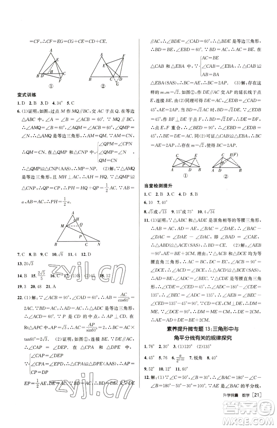新疆青少年出版社2023升學(xué)錦囊九年級(jí)全一冊(cè)數(shù)學(xué)泰安專版參考答案