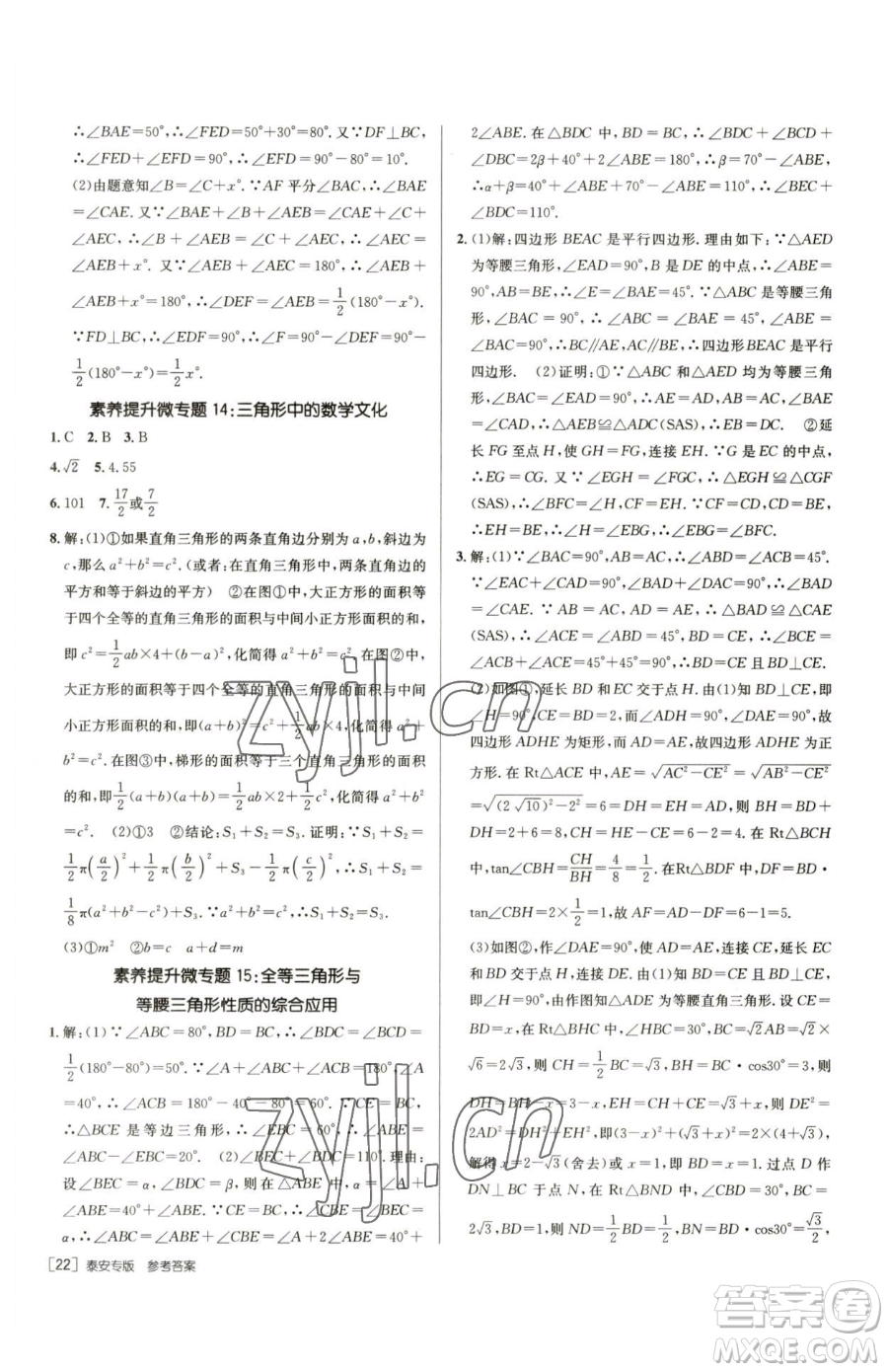 新疆青少年出版社2023升學(xué)錦囊九年級(jí)全一冊(cè)數(shù)學(xué)泰安專版參考答案