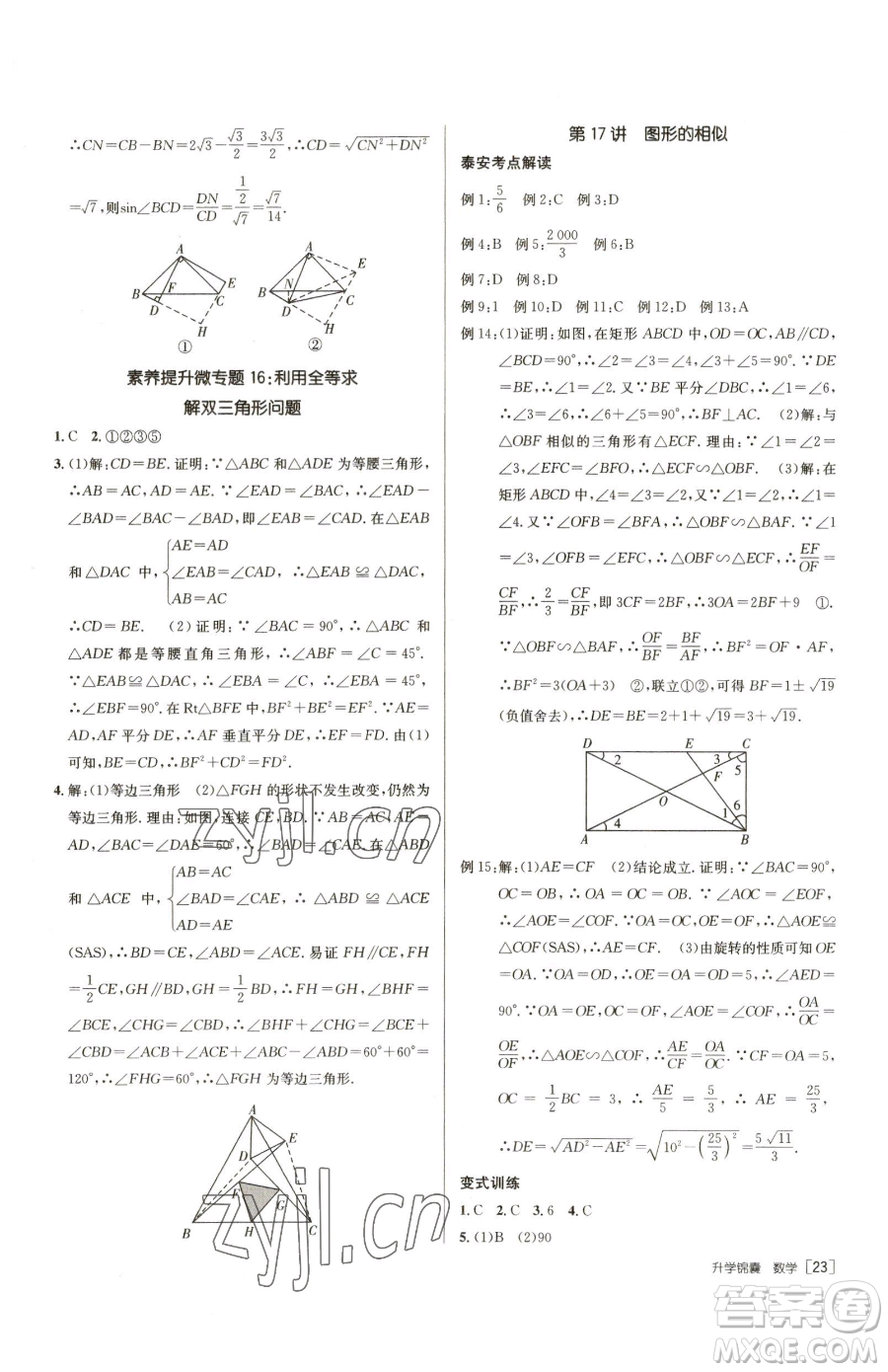 新疆青少年出版社2023升學(xué)錦囊九年級(jí)全一冊(cè)數(shù)學(xué)泰安專版參考答案
