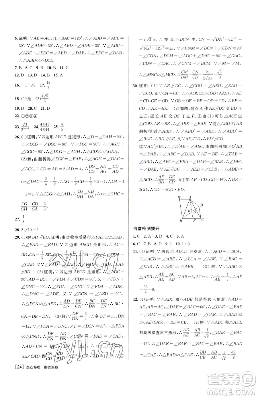 新疆青少年出版社2023升學(xué)錦囊九年級(jí)全一冊(cè)數(shù)學(xué)泰安專版參考答案