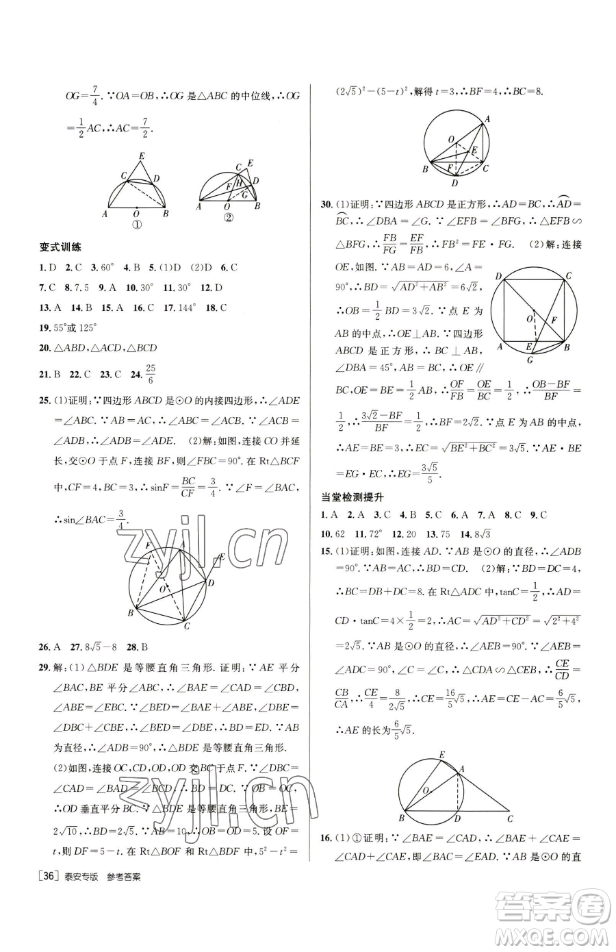 新疆青少年出版社2023升學(xué)錦囊九年級(jí)全一冊(cè)數(shù)學(xué)泰安專版參考答案