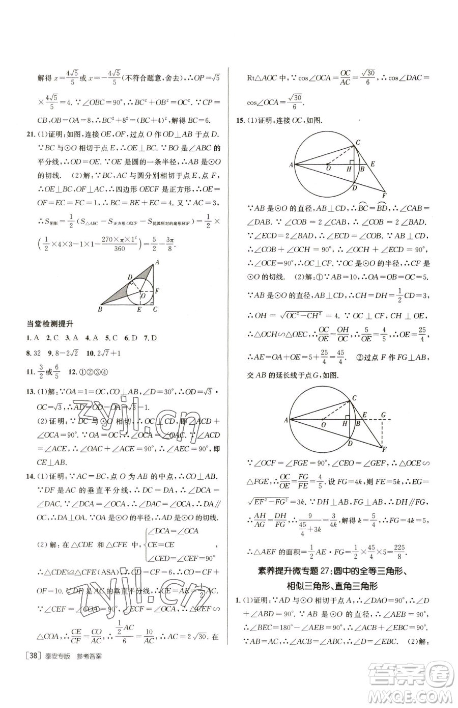 新疆青少年出版社2023升學(xué)錦囊九年級(jí)全一冊(cè)數(shù)學(xué)泰安專版參考答案
