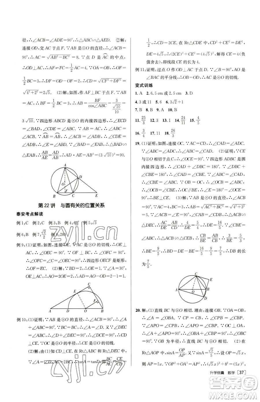 新疆青少年出版社2023升學(xué)錦囊九年級(jí)全一冊(cè)數(shù)學(xué)泰安專版參考答案