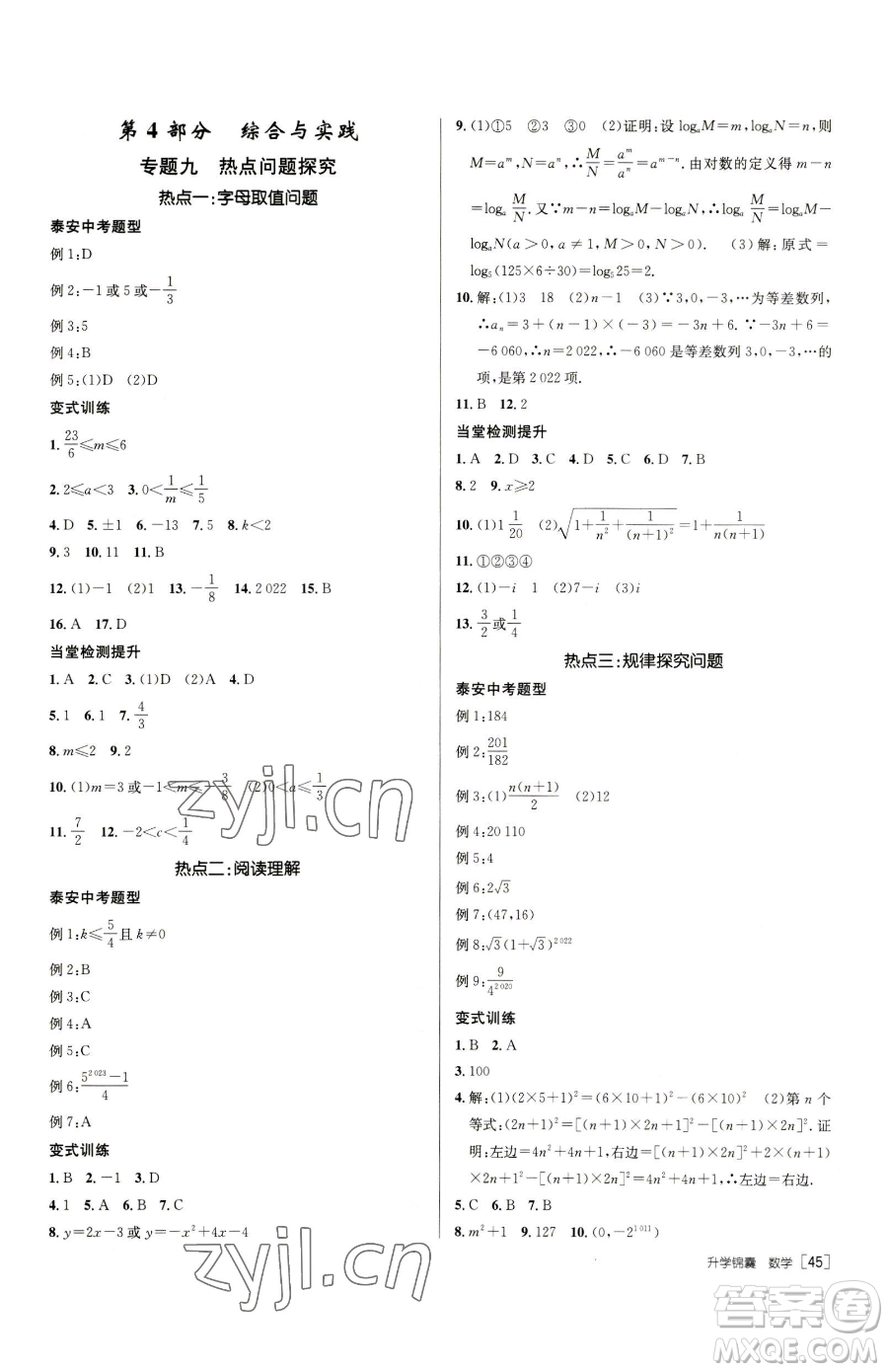 新疆青少年出版社2023升學(xué)錦囊九年級(jí)全一冊(cè)數(shù)學(xué)泰安專版參考答案