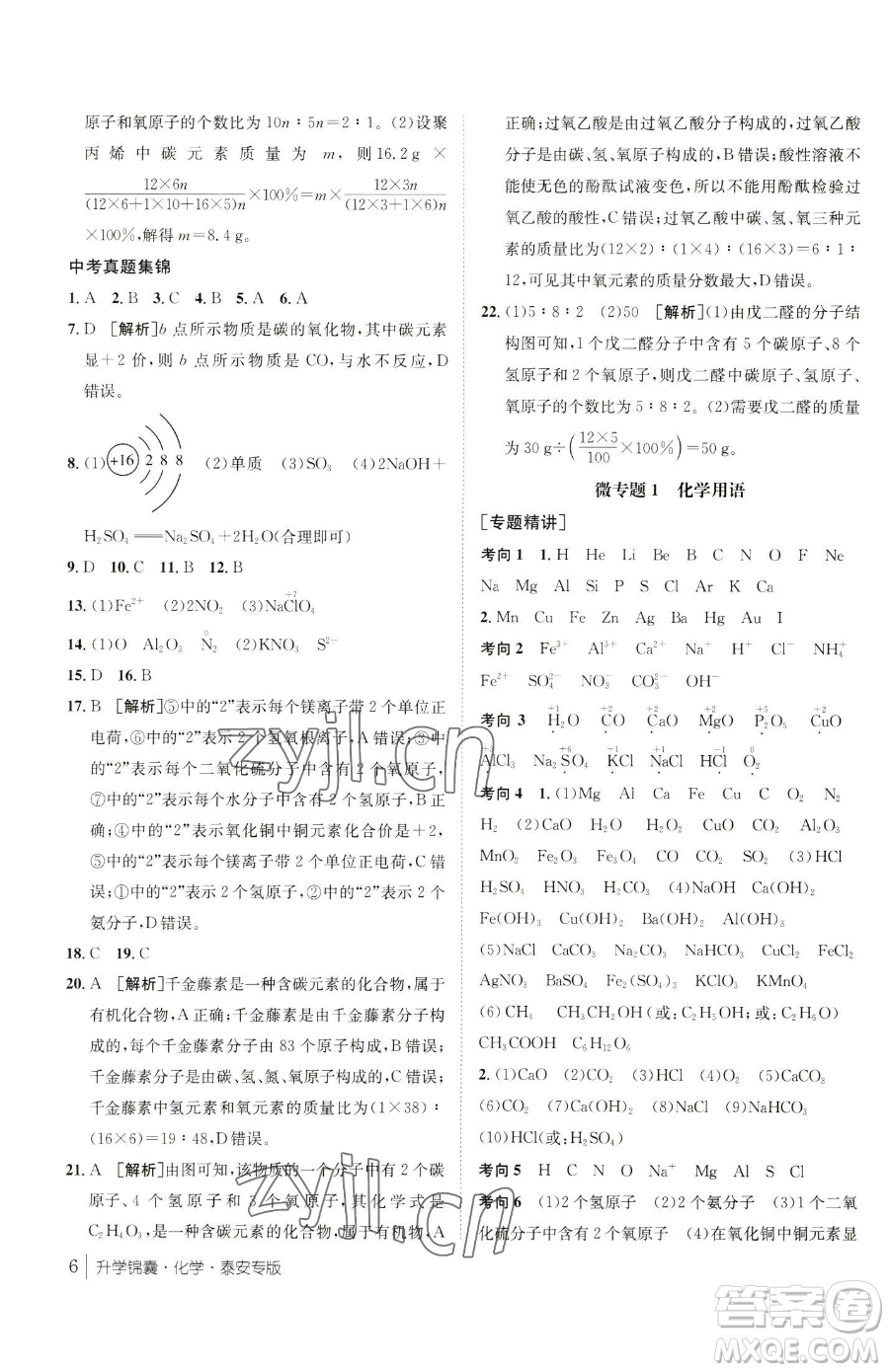 新疆青少年出版社2023升學錦囊九年級全一冊化學泰安專版參考答案