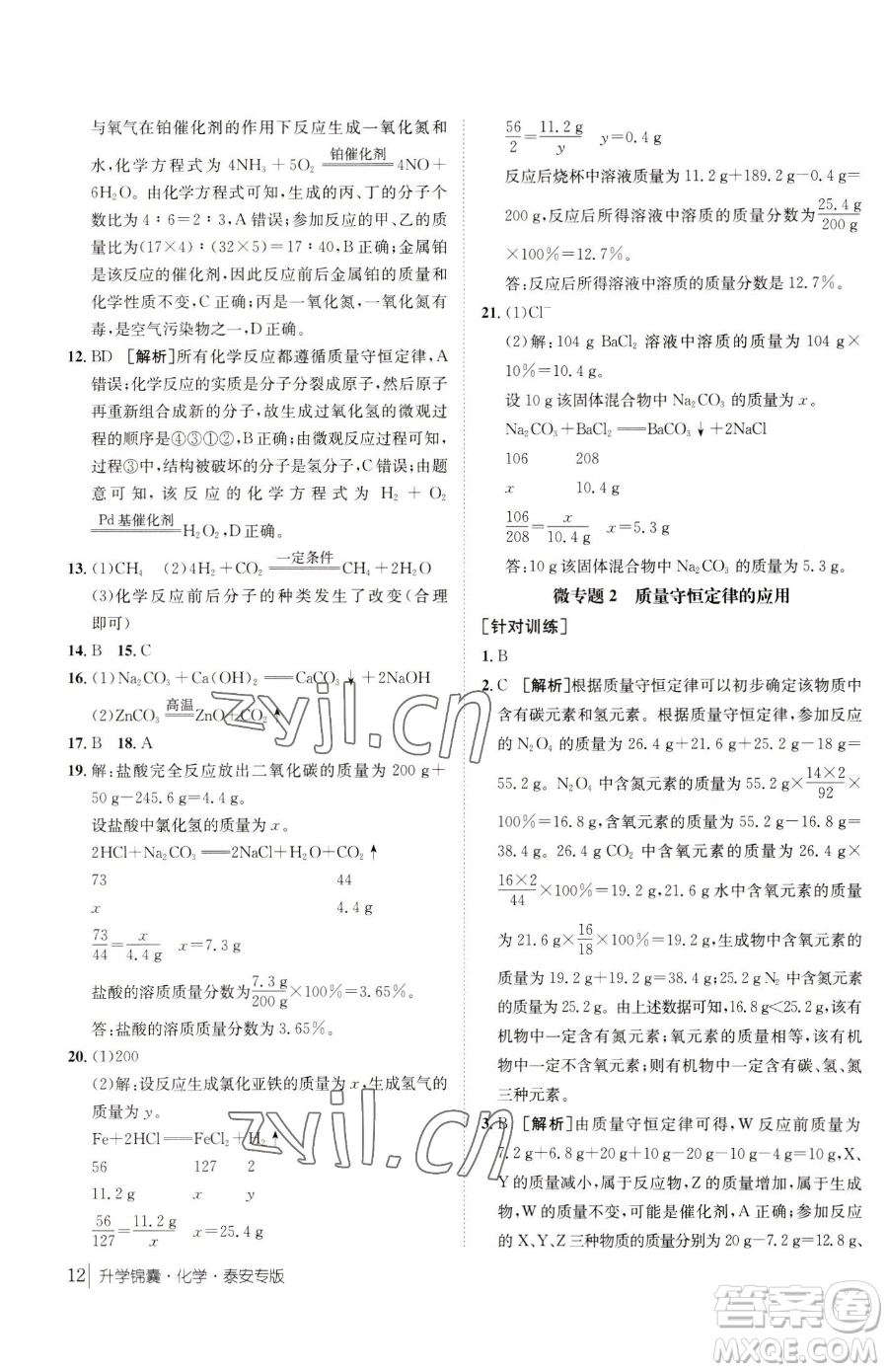 新疆青少年出版社2023升學錦囊九年級全一冊化學泰安專版參考答案