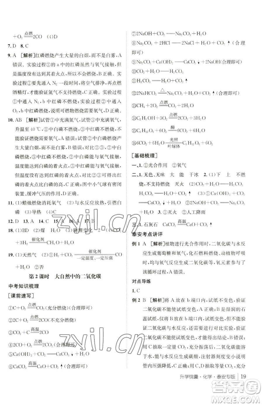 新疆青少年出版社2023升學錦囊九年級全一冊化學泰安專版參考答案