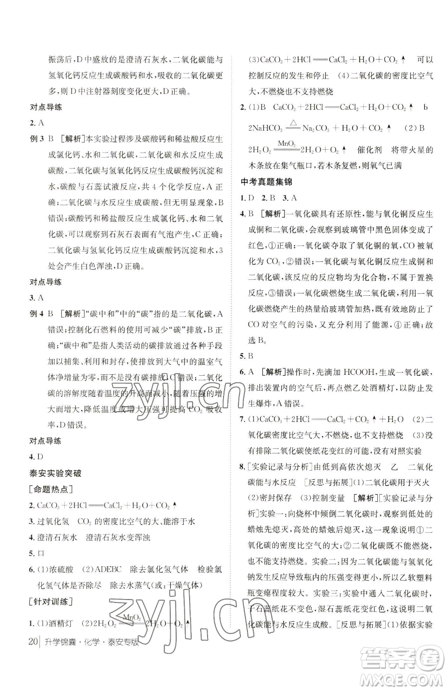 新疆青少年出版社2023升學錦囊九年級全一冊化學泰安專版參考答案