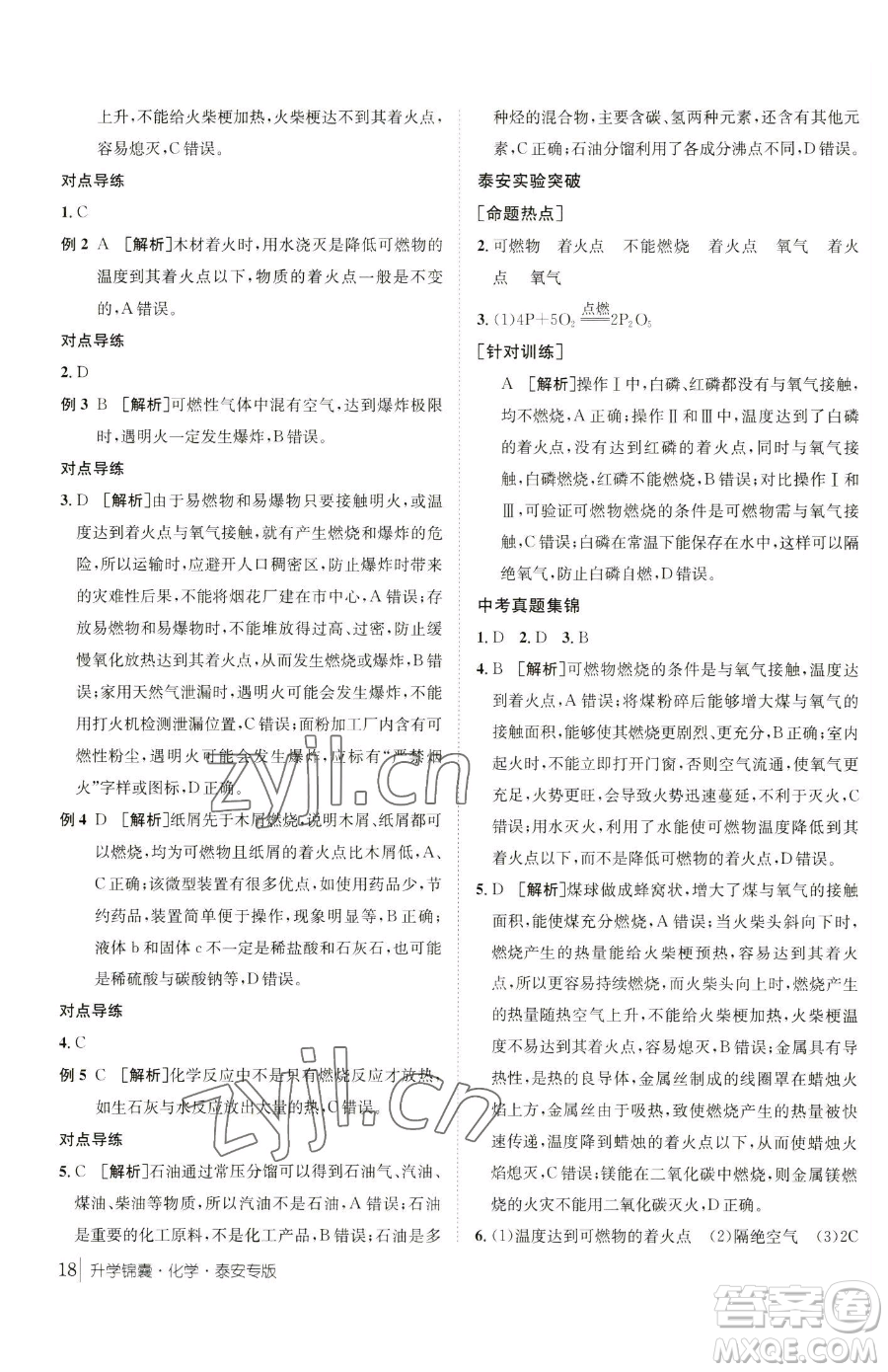 新疆青少年出版社2023升學錦囊九年級全一冊化學泰安專版參考答案