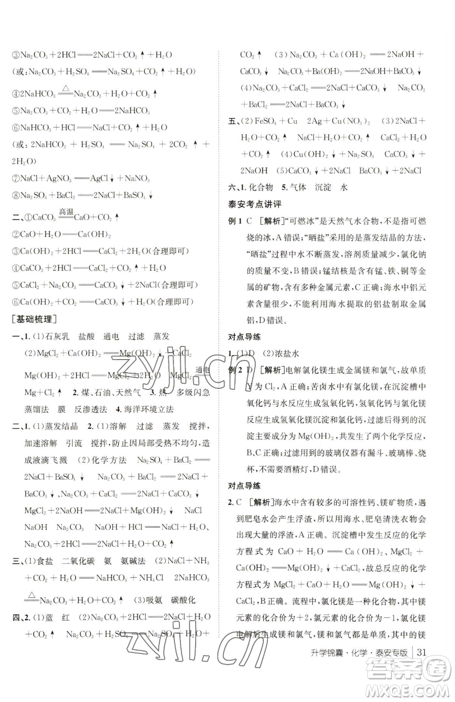 新疆青少年出版社2023升學錦囊九年級全一冊化學泰安專版參考答案