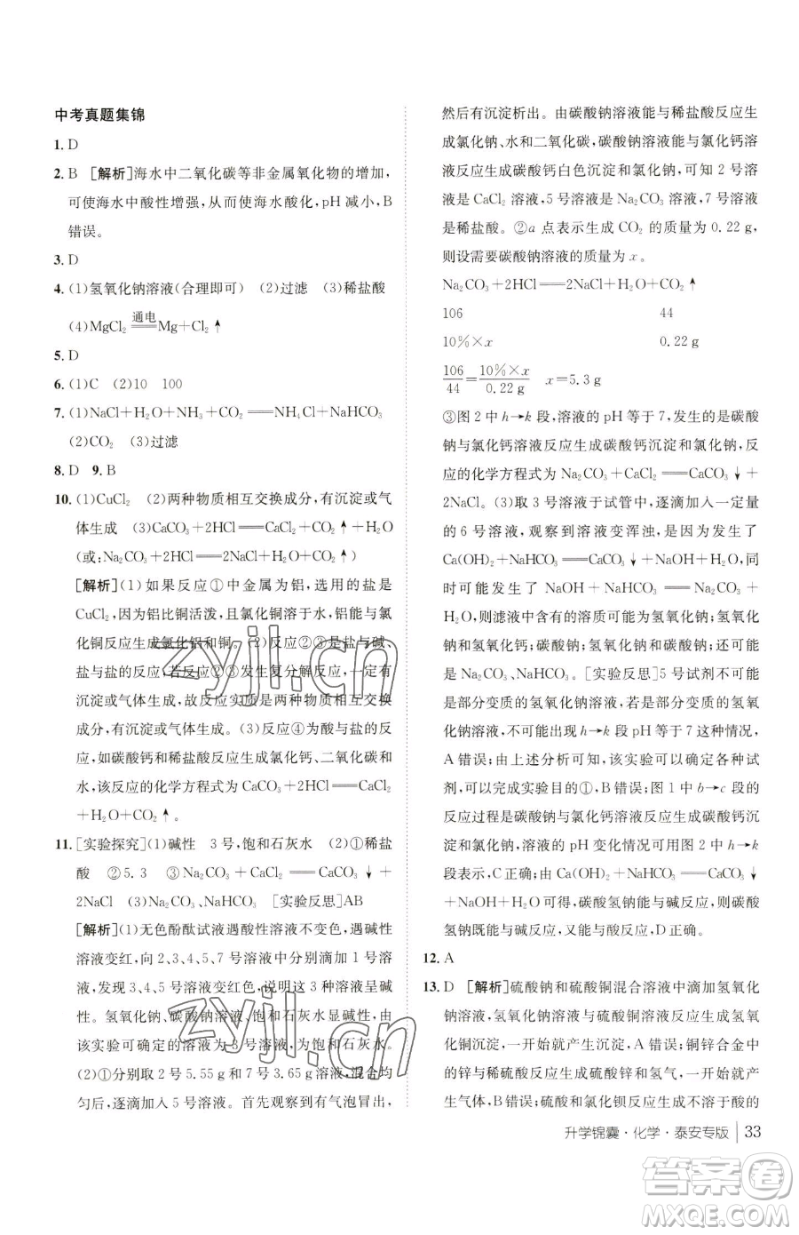 新疆青少年出版社2023升學錦囊九年級全一冊化學泰安專版參考答案
