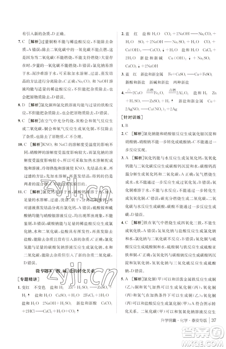 新疆青少年出版社2023升學錦囊九年級全一冊化學泰安專版參考答案