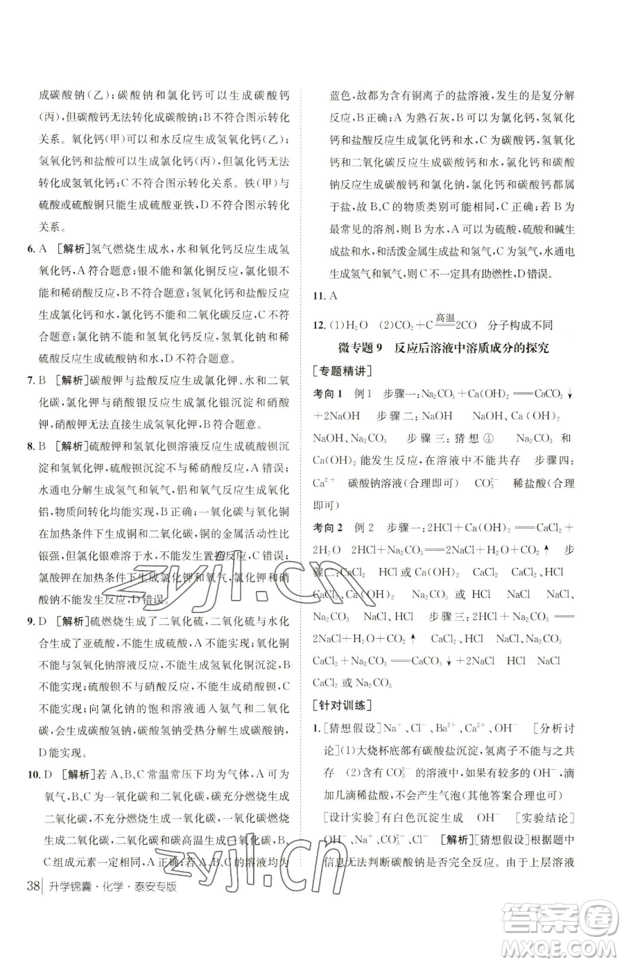 新疆青少年出版社2023升學錦囊九年級全一冊化學泰安專版參考答案