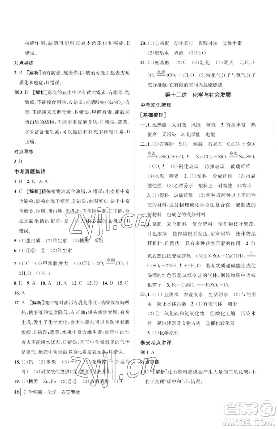 新疆青少年出版社2023升學錦囊九年級全一冊化學泰安專版參考答案