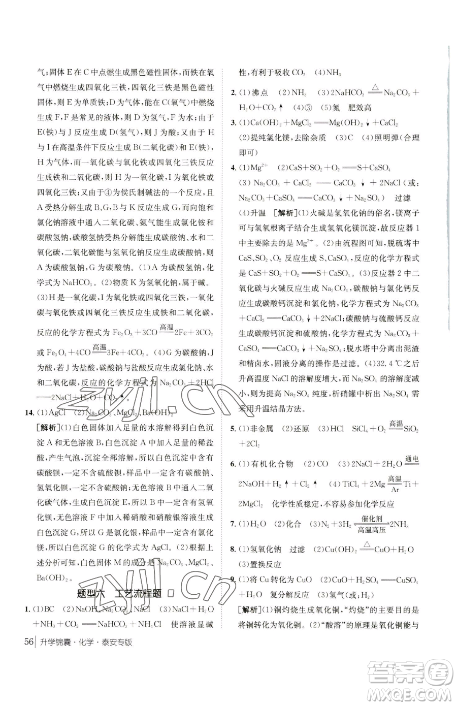 新疆青少年出版社2023升學錦囊九年級全一冊化學泰安專版參考答案