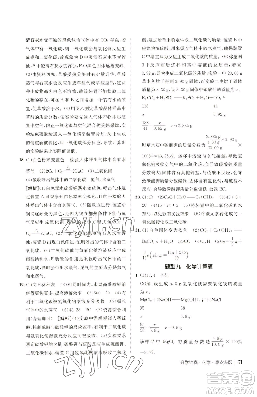 新疆青少年出版社2023升學錦囊九年級全一冊化學泰安專版參考答案
