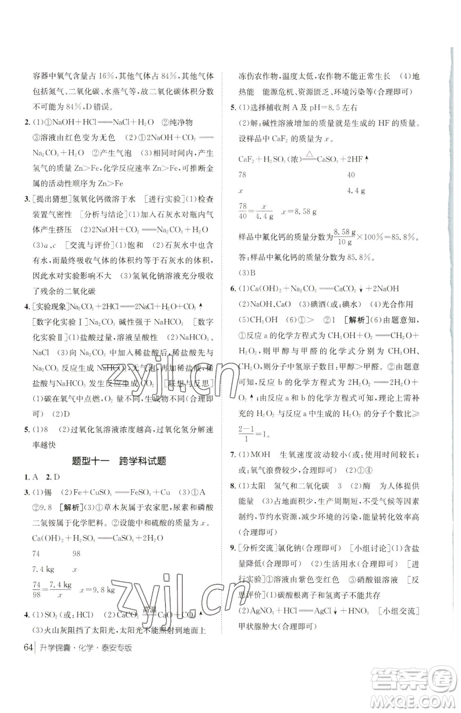 新疆青少年出版社2023升學錦囊九年級全一冊化學泰安專版參考答案