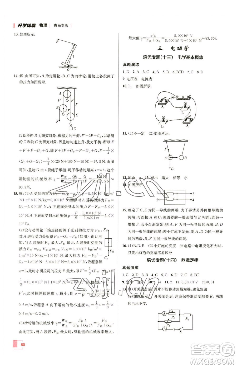 新疆青少年出版社2023升學(xué)錦囊九年級(jí)全一冊(cè)物理青島專版參考答案
