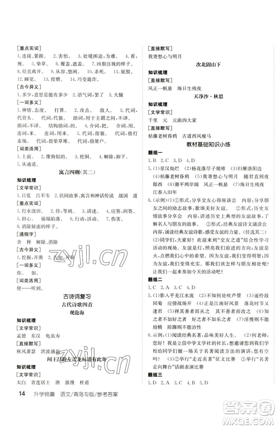 新疆青少年出版社2023升學(xué)錦囊九年級(jí)全一冊(cè)語文青島專版參考答案