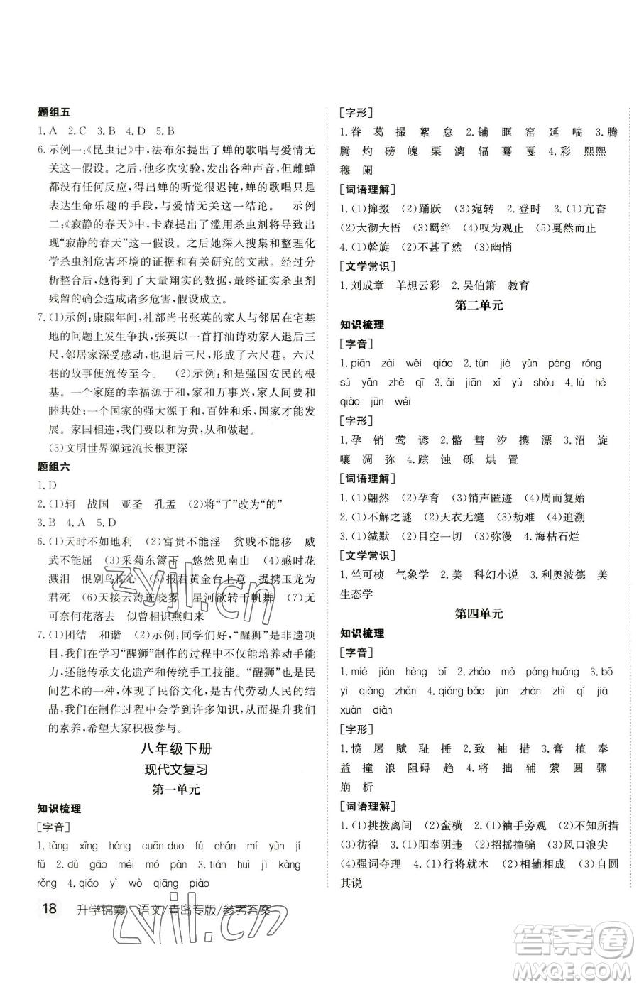 新疆青少年出版社2023升學(xué)錦囊九年級(jí)全一冊(cè)語文青島專版參考答案
