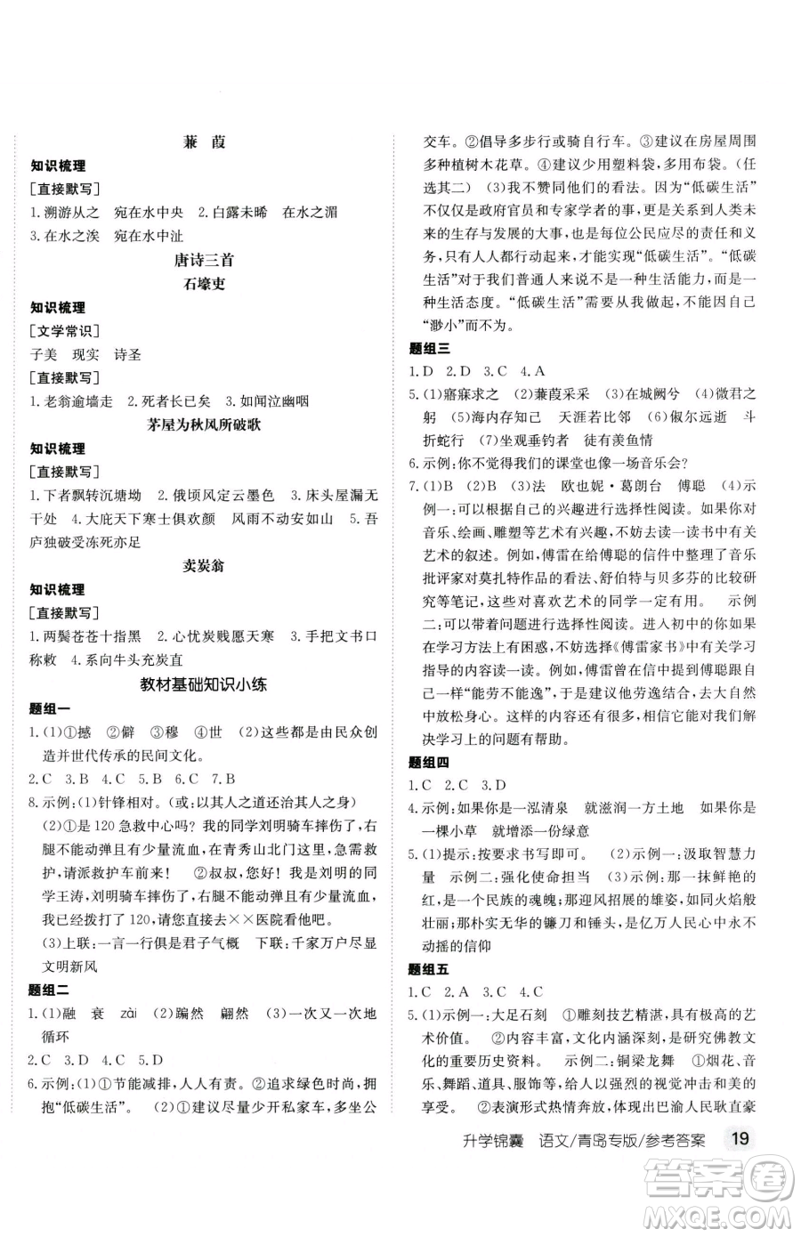 新疆青少年出版社2023升學(xué)錦囊九年級(jí)全一冊(cè)語文青島專版參考答案