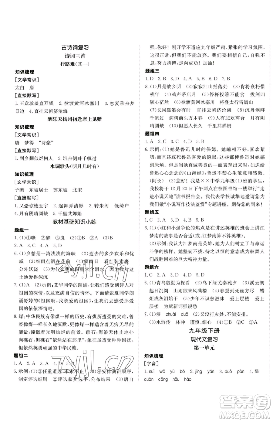 新疆青少年出版社2023升學(xué)錦囊九年級(jí)全一冊(cè)語文青島專版參考答案
