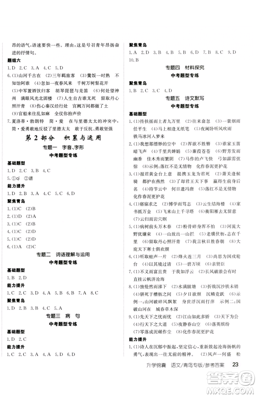 新疆青少年出版社2023升學(xué)錦囊九年級(jí)全一冊(cè)語文青島專版參考答案