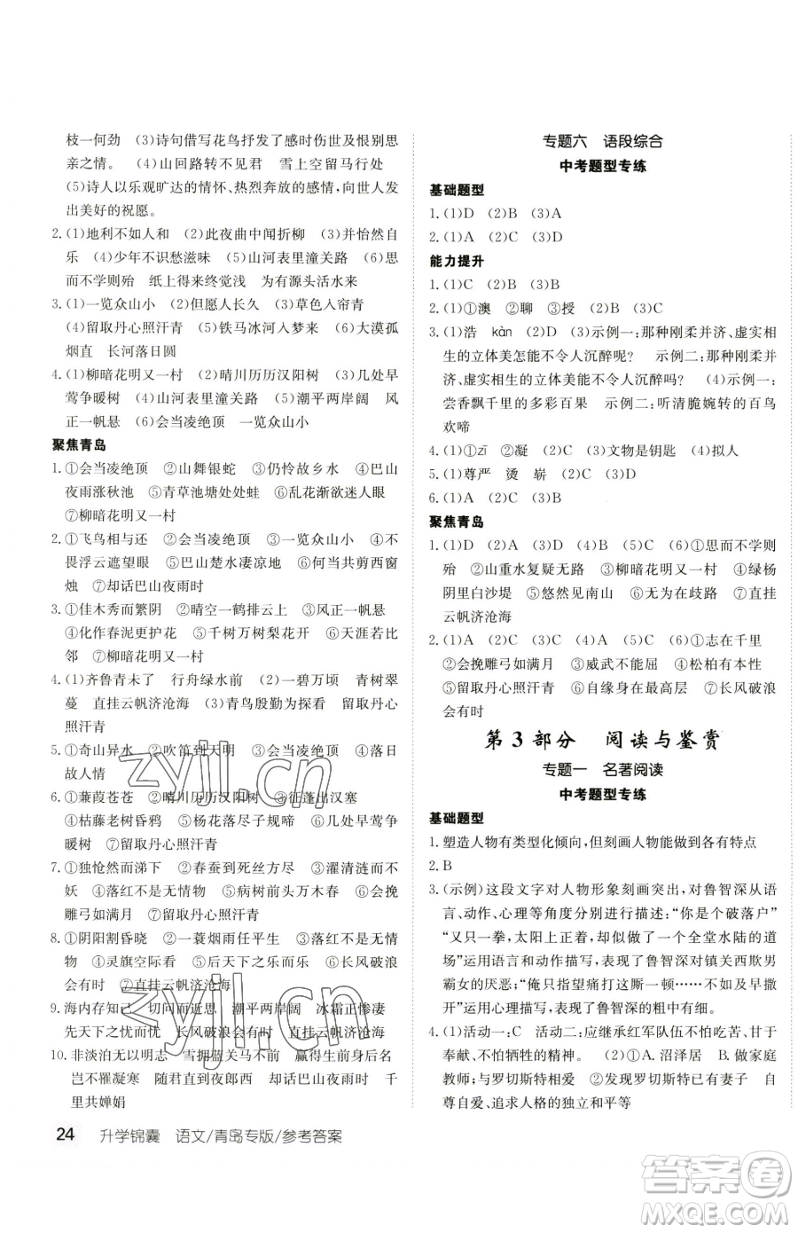 新疆青少年出版社2023升學(xué)錦囊九年級(jí)全一冊(cè)語文青島專版參考答案
