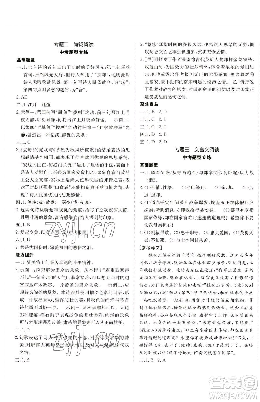 新疆青少年出版社2023升學(xué)錦囊九年級(jí)全一冊(cè)語文青島專版參考答案
