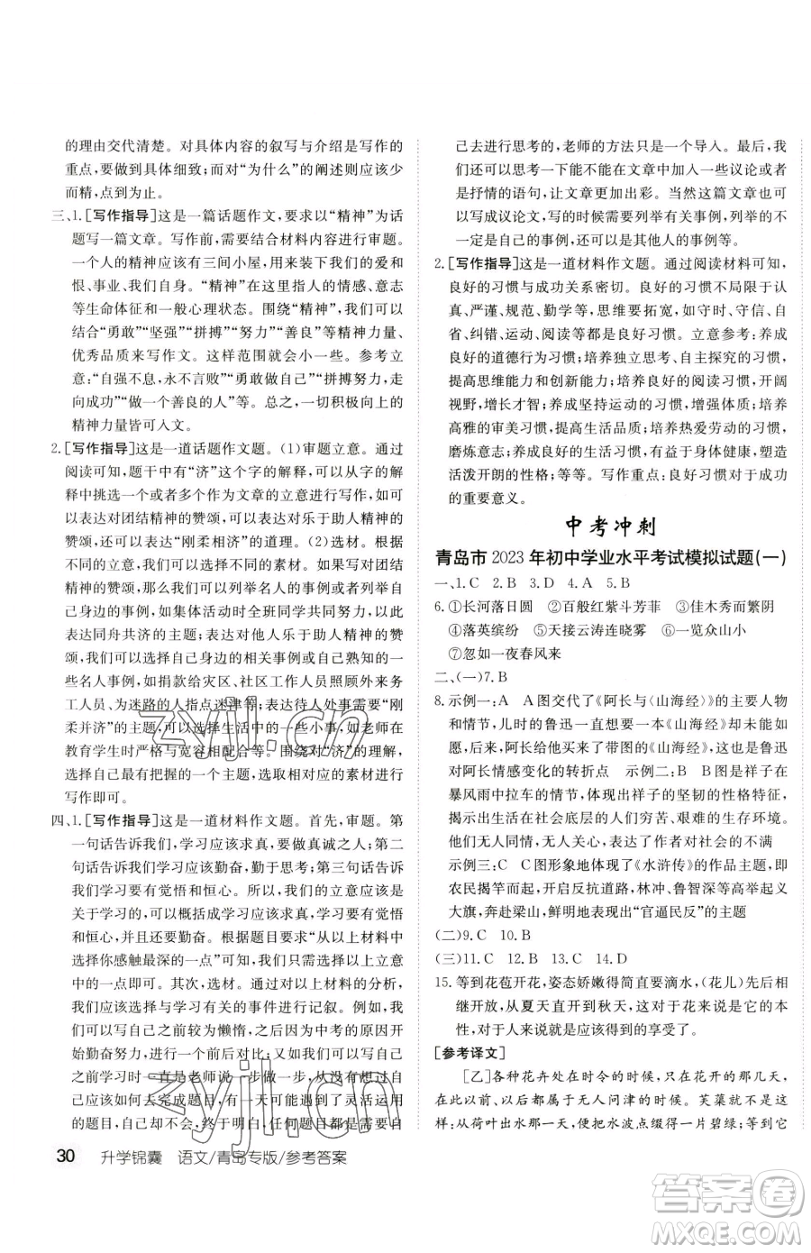 新疆青少年出版社2023升學(xué)錦囊九年級(jí)全一冊(cè)語文青島專版參考答案