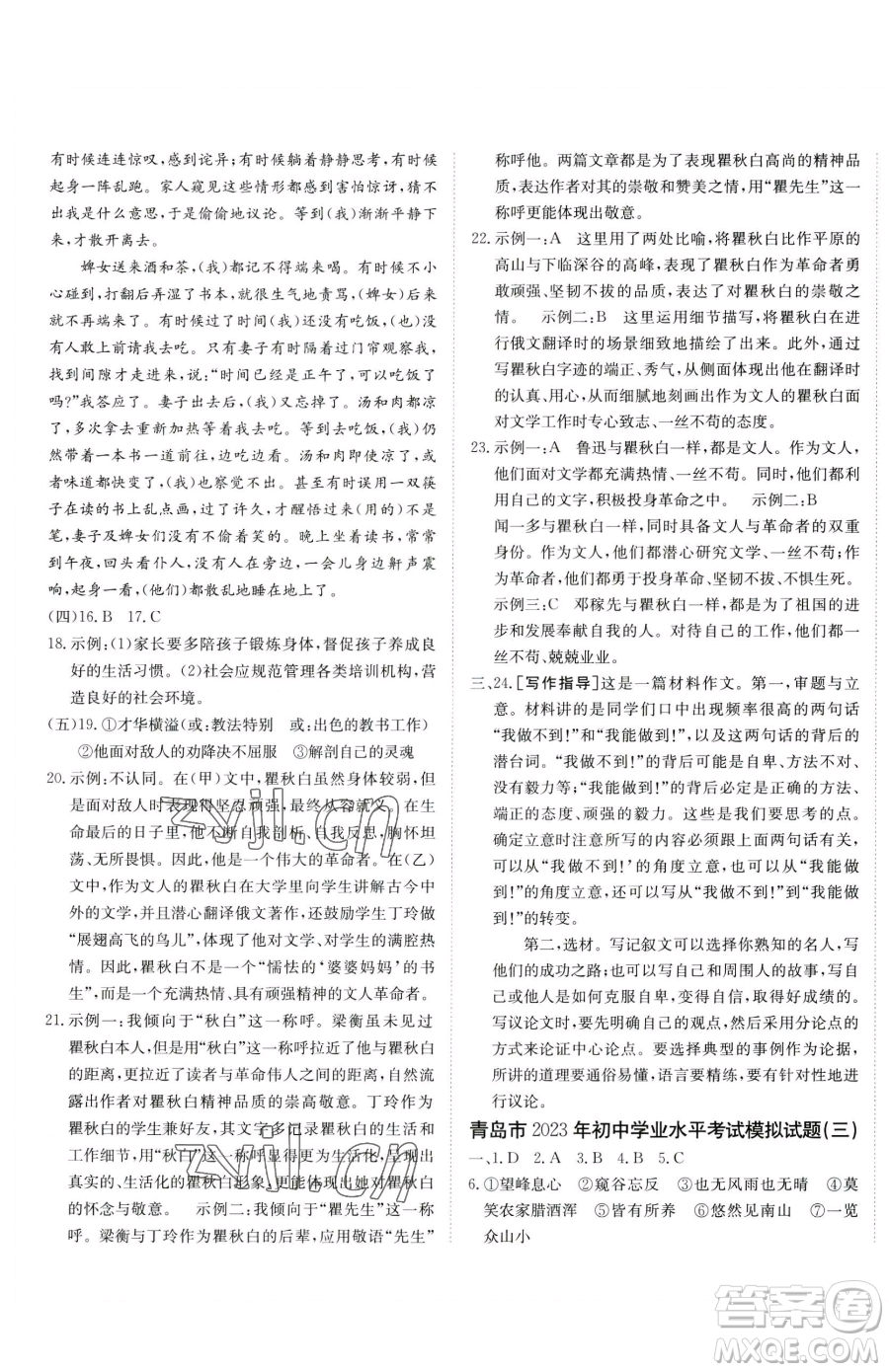 新疆青少年出版社2023升學(xué)錦囊九年級(jí)全一冊(cè)語文青島專版參考答案