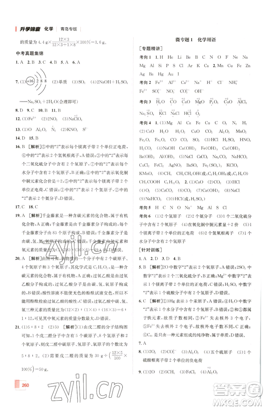 新疆青少年出版社2023升學(xué)錦囊九年級(jí)全一冊(cè)化學(xué)青島專(zhuān)版參考答案