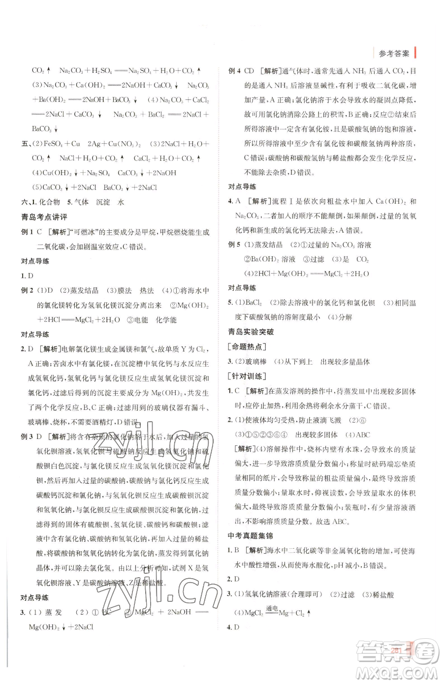 新疆青少年出版社2023升學(xué)錦囊九年級(jí)全一冊(cè)化學(xué)青島專(zhuān)版參考答案