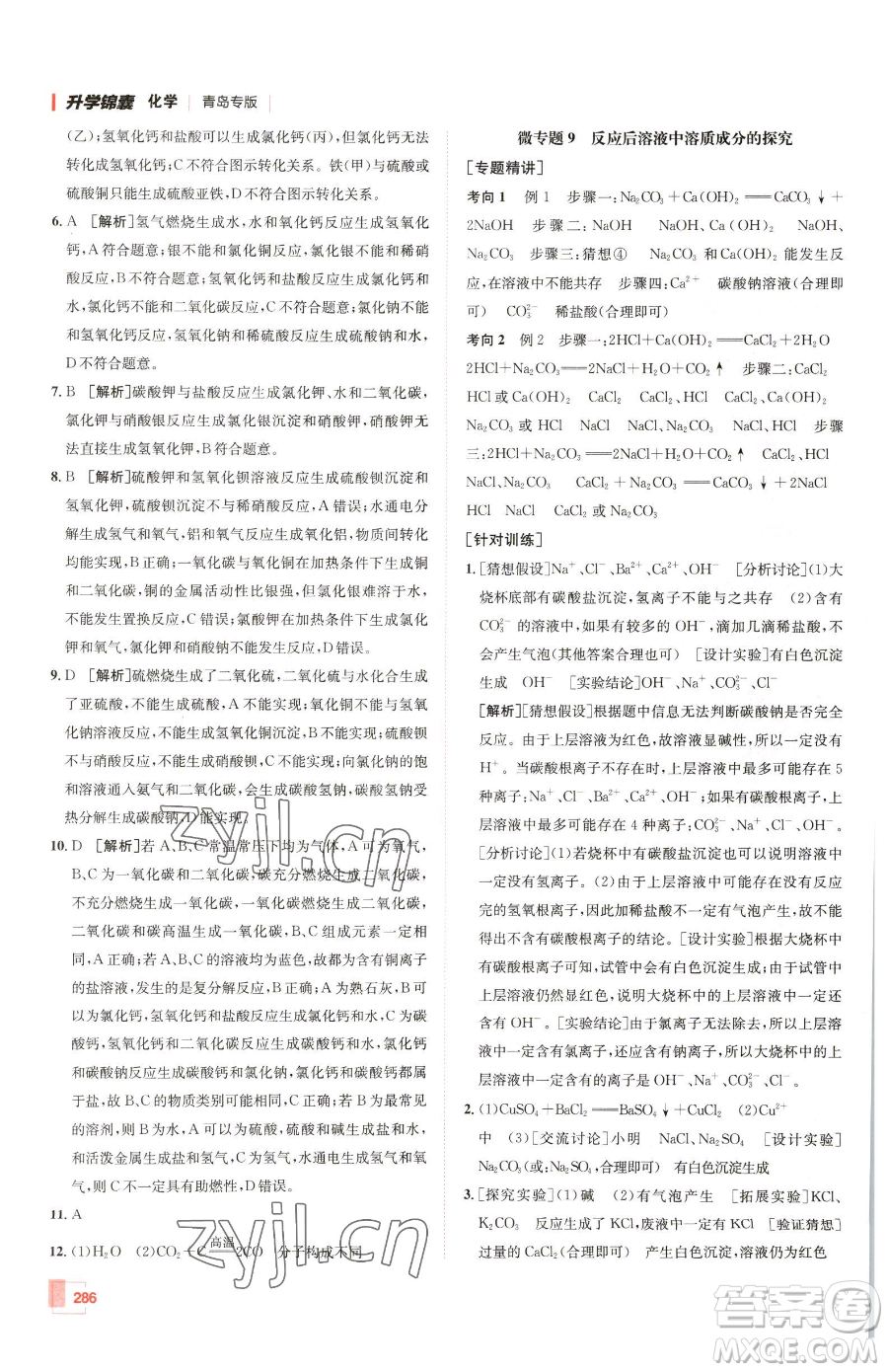 新疆青少年出版社2023升學(xué)錦囊九年級(jí)全一冊(cè)化學(xué)青島專(zhuān)版參考答案