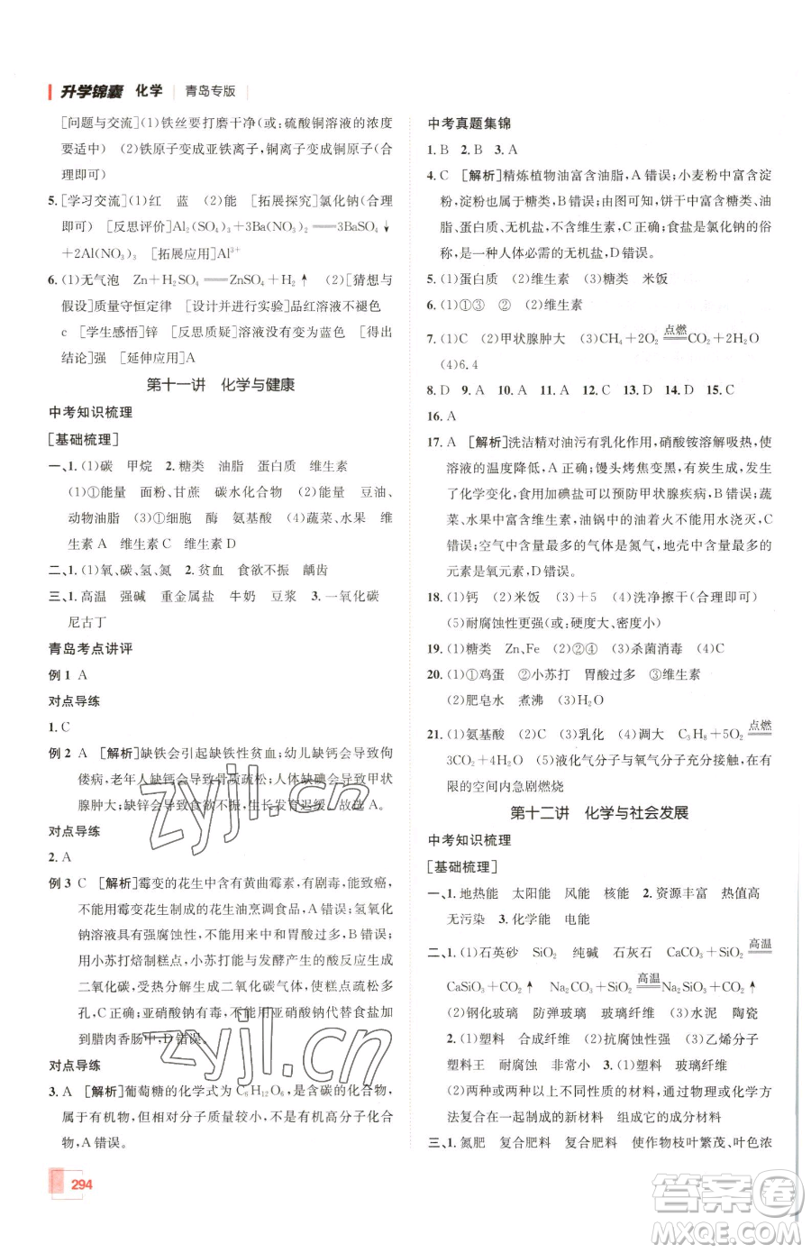 新疆青少年出版社2023升學(xué)錦囊九年級(jí)全一冊(cè)化學(xué)青島專(zhuān)版參考答案