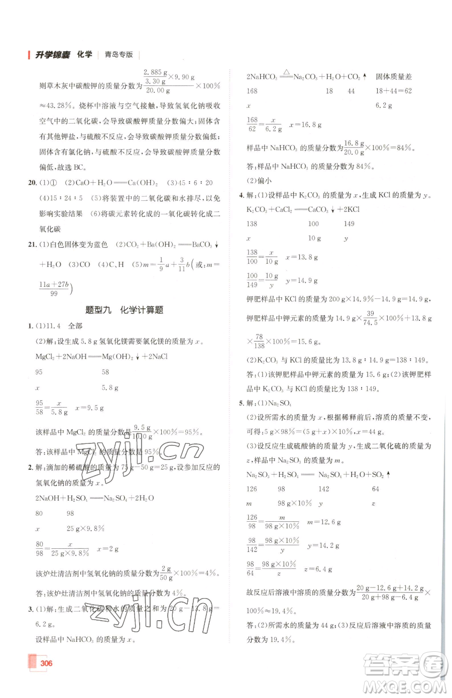 新疆青少年出版社2023升學(xué)錦囊九年級(jí)全一冊(cè)化學(xué)青島專(zhuān)版參考答案